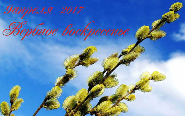 Праздник вербное воскресенье