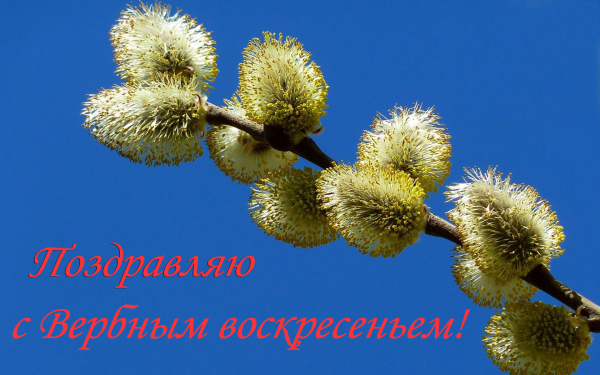 Вербное воскресенье 1 апреля 2018