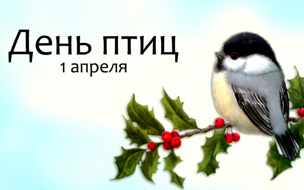 День птиц