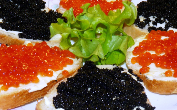 Бутерброды с икрой