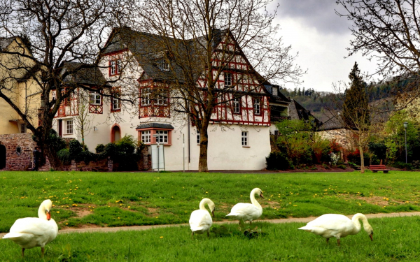 Немецкая деревня