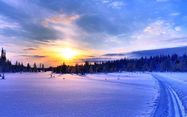 Зимний вечер в Лапландии