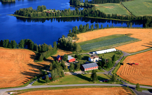 Сельское хозяйство Финляндии