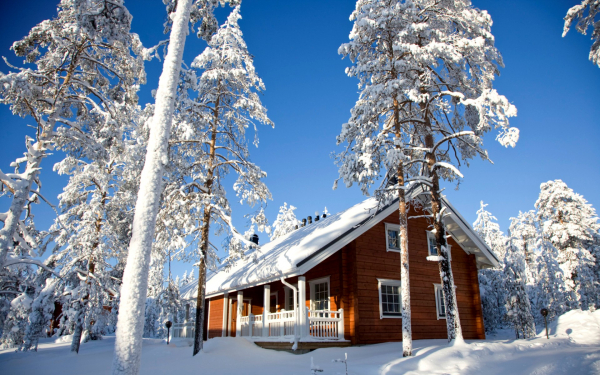 Финский домик в зимнем лесу