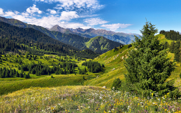 Лето горы Казахстан