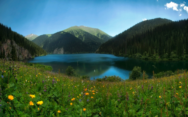 Лето на Кольсайском озере