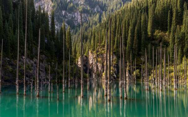 Озеро Каинды в Казахстане