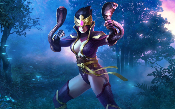 Ниндзя Мего