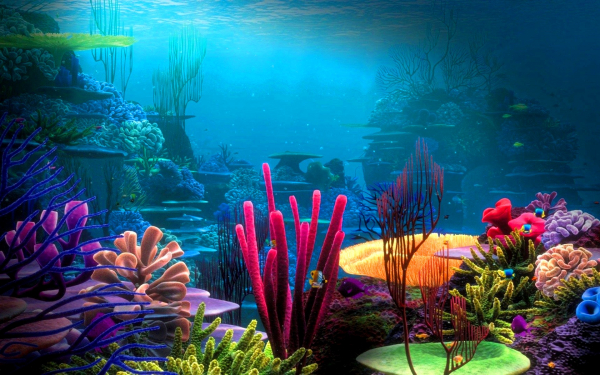Кораалловый сад  в подводном мире
