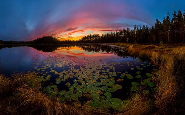 Закат на таежном озере
