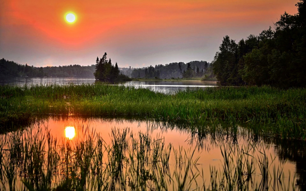 Летний закат на лесном озере