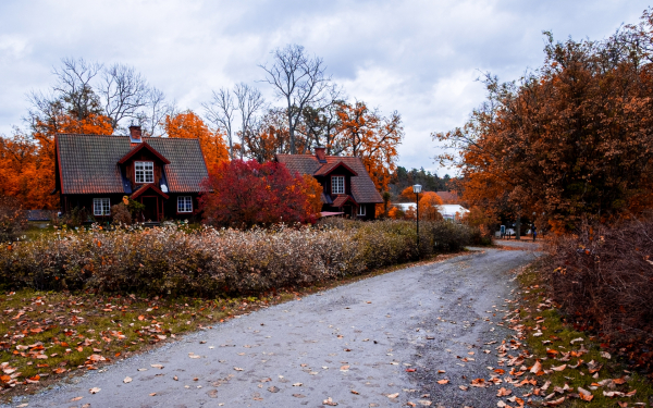Шведская деревня