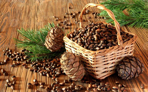 Кедровые шишки и орешки