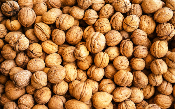 Много грецких орехов