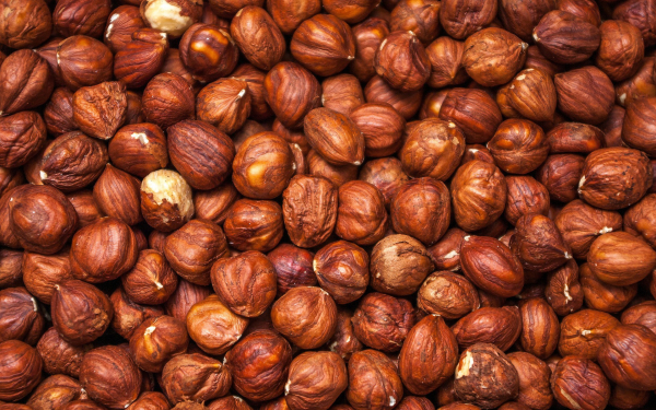 Фундук лесной орех