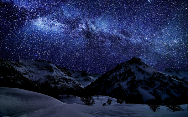 Звездная ночь