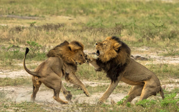 Борьба за власть