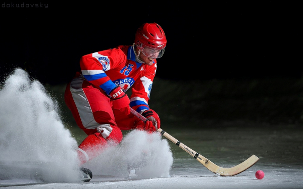 Хоккей с мячом