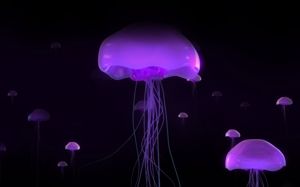 Фиолетовые медузы