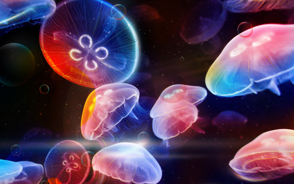 Медузы в море