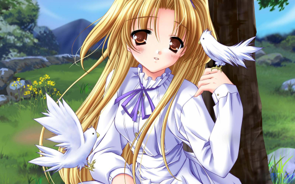 Девушка и птицы