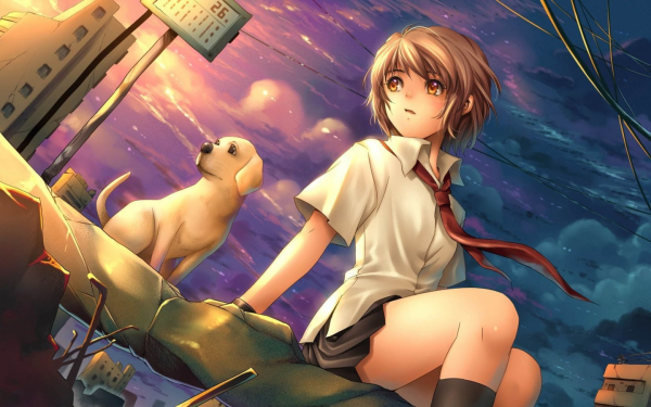 Девушка с собачкой аниме