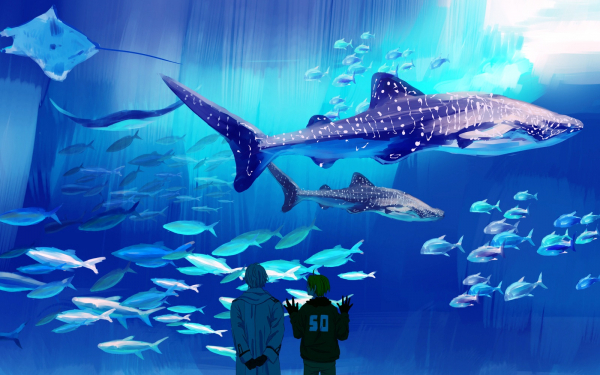 Аниме аквариум