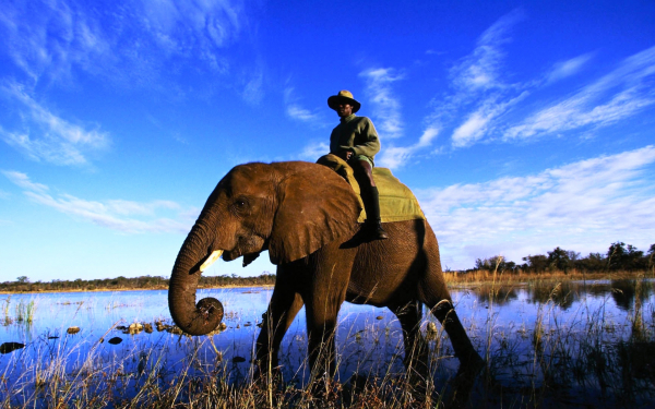 Африканец на слоне