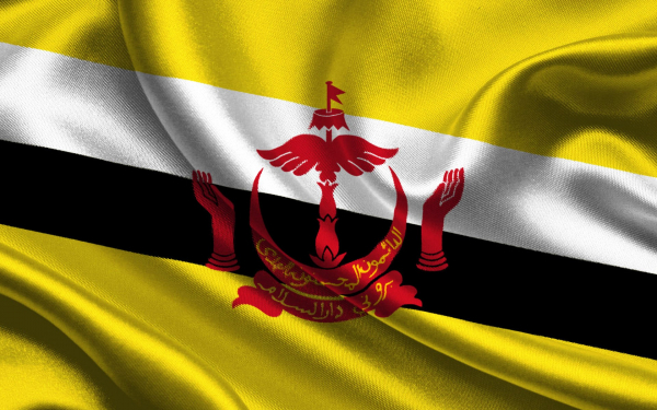 Флаг Брунея