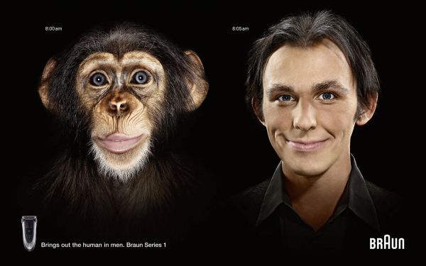 Бренд Браун