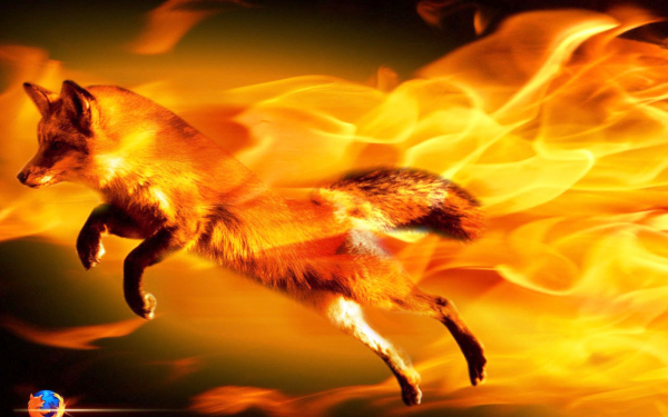 Огненный лис
