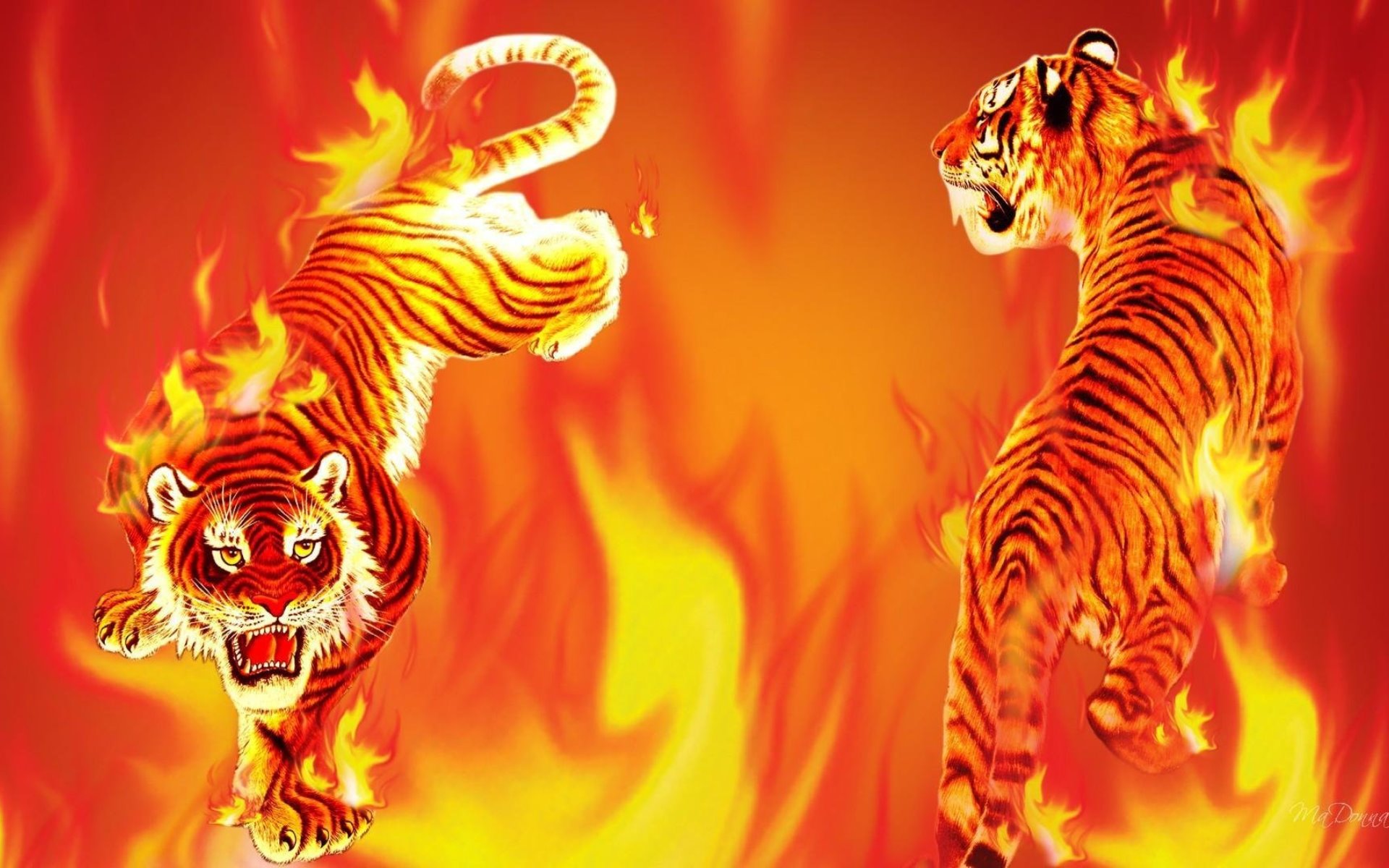 Про красного тигра. Фаер Тайгер. Огненный тигр. Красный Огненный тигр. Красный тигр.