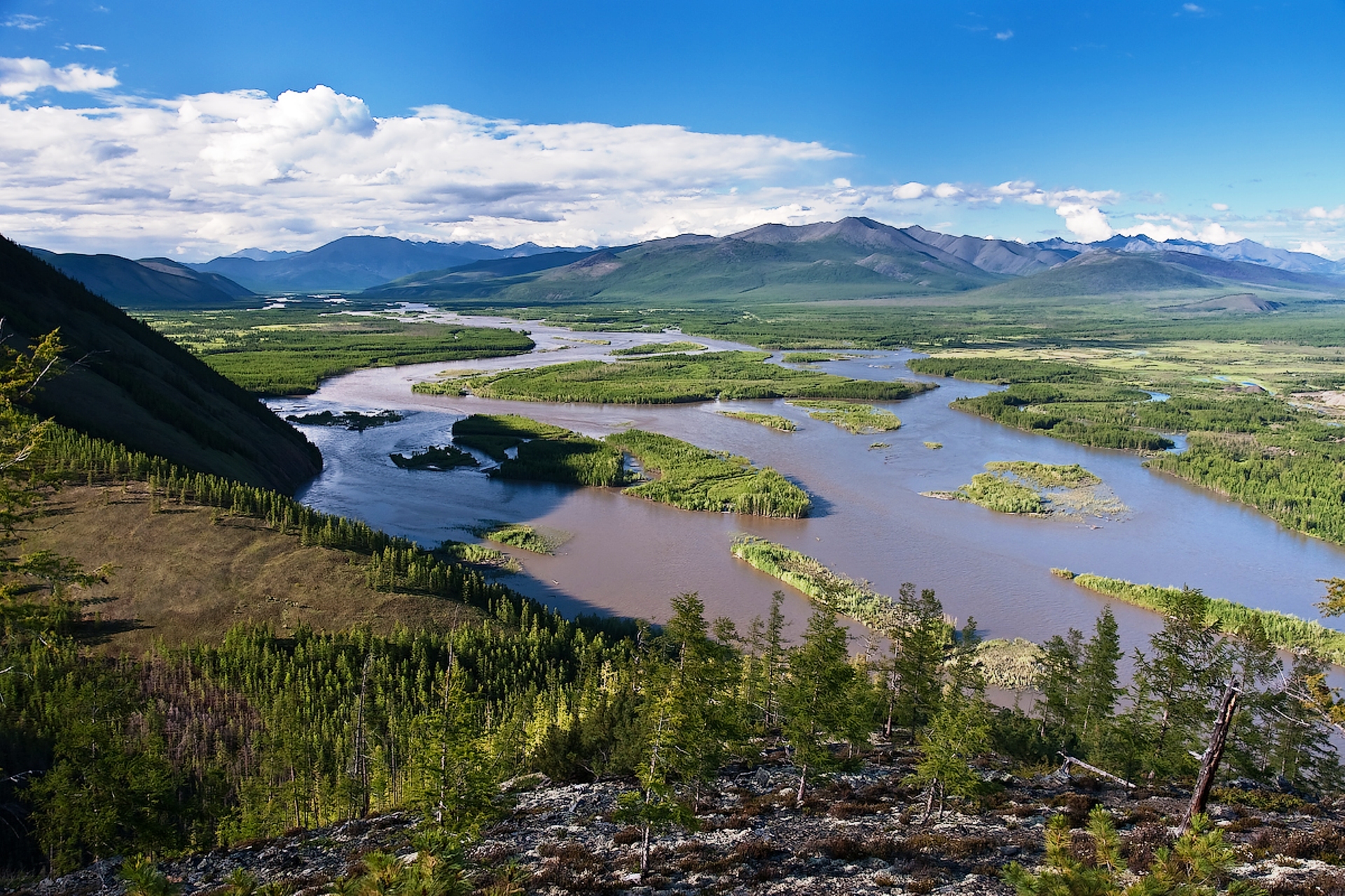 Река на севере якутии на ней расположен. Индигирка река реки Якутии. Долина реки Индигирка Якутия. Северо Восточная Сибирь река Индигирка.