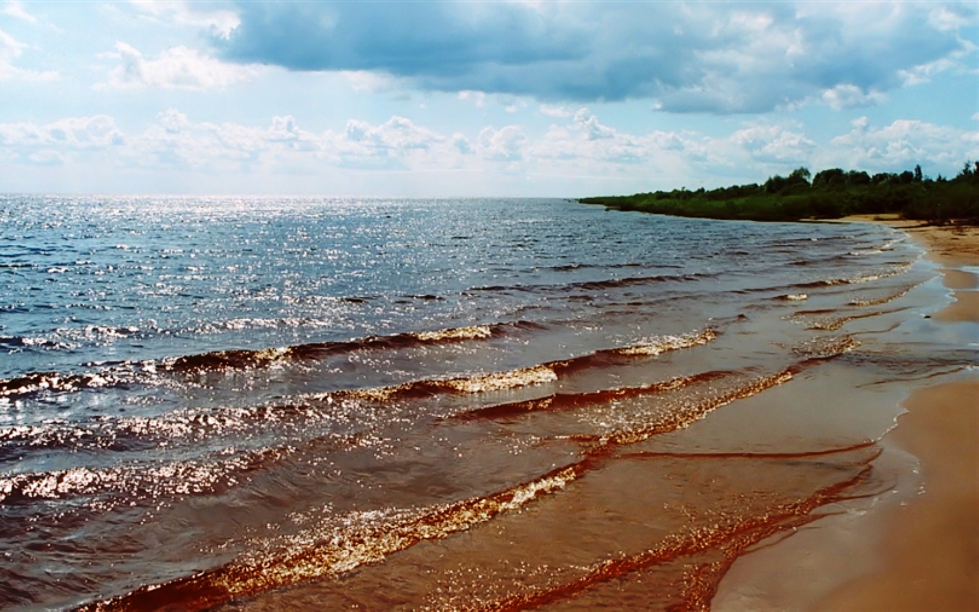 Ильмень пляж великий новгород. Озеро ильмень великий новгород. Ретле. Селигер байкал кунашир ильмень. Озеро ильмень великий новгород пляж.