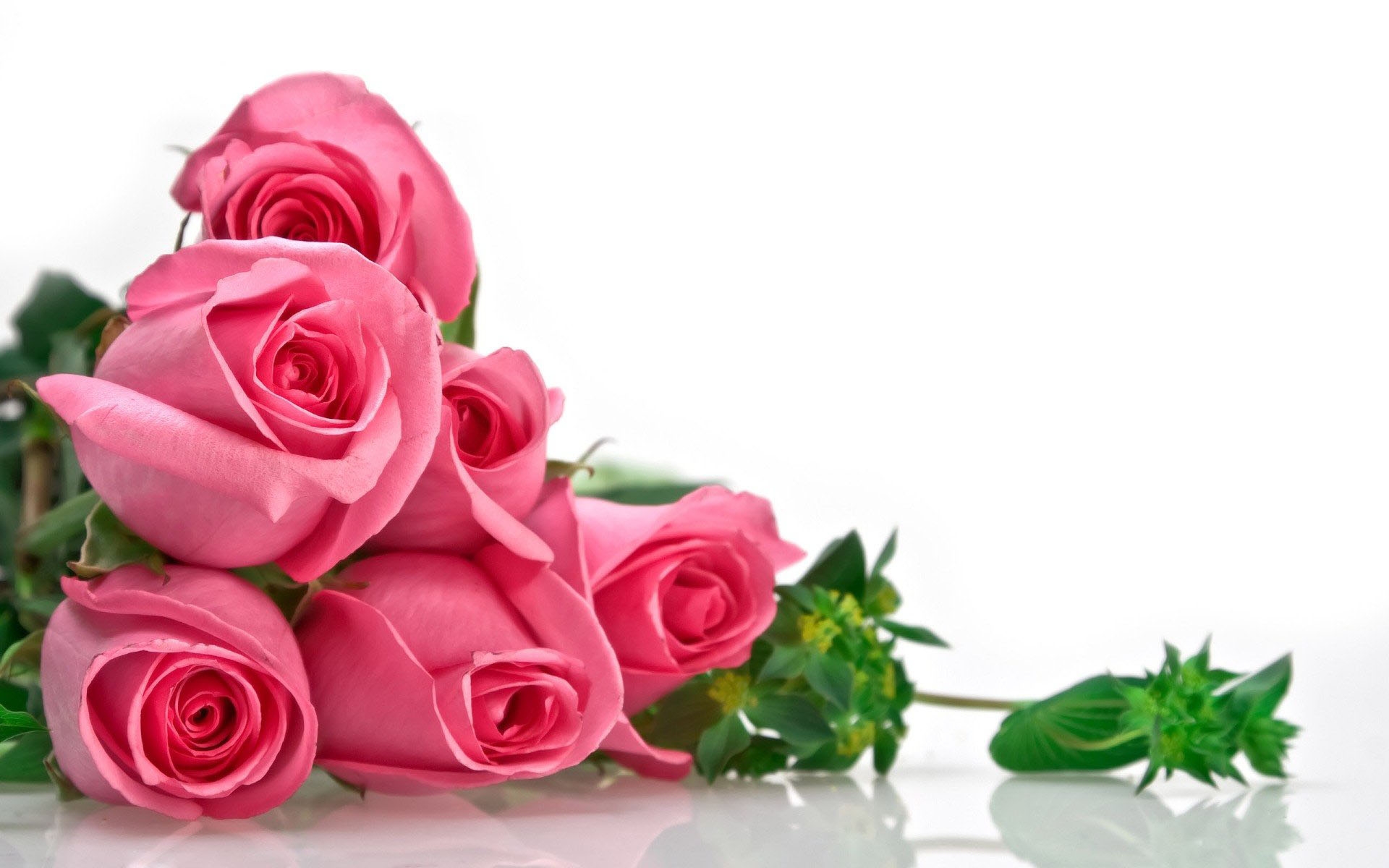 Розы Для Любимой Фото