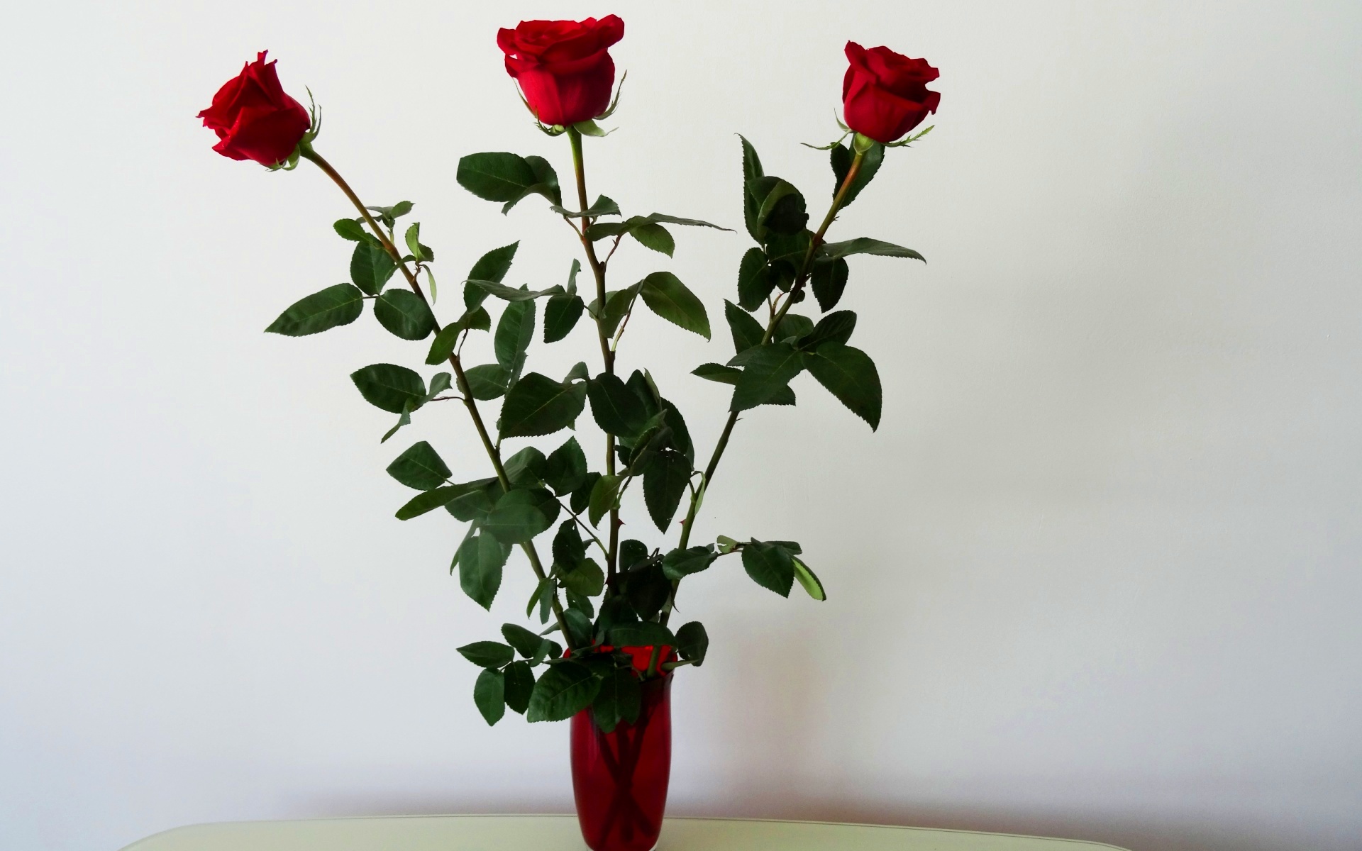 Три розы в вазе. Стебель розы. Домашние розы. Розы в вазе. Цветок на стебле.