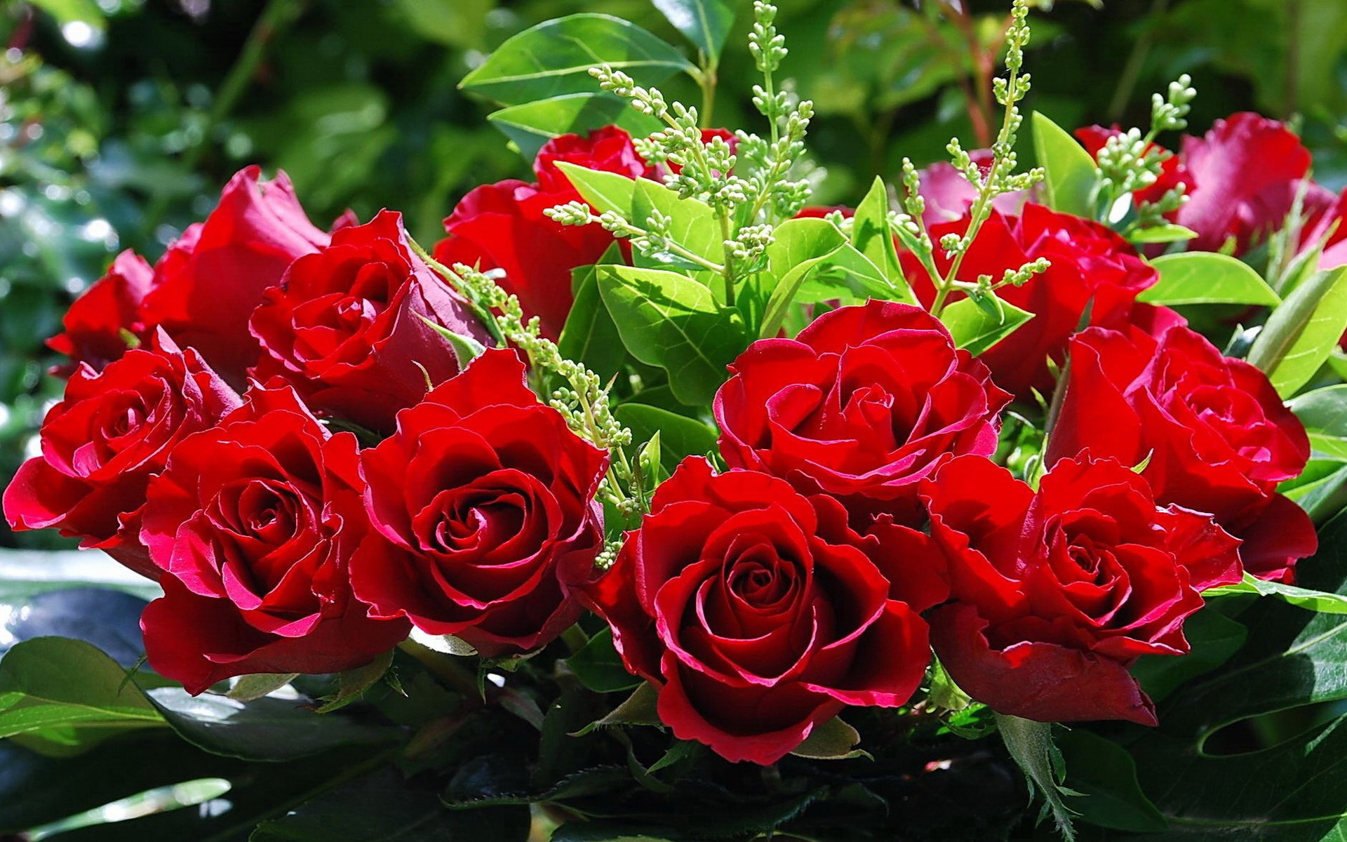 Красивой женщине красивые цветы картинки. Красивые розы. Роскошные розы. Самые красивые розы. Живые цветы.