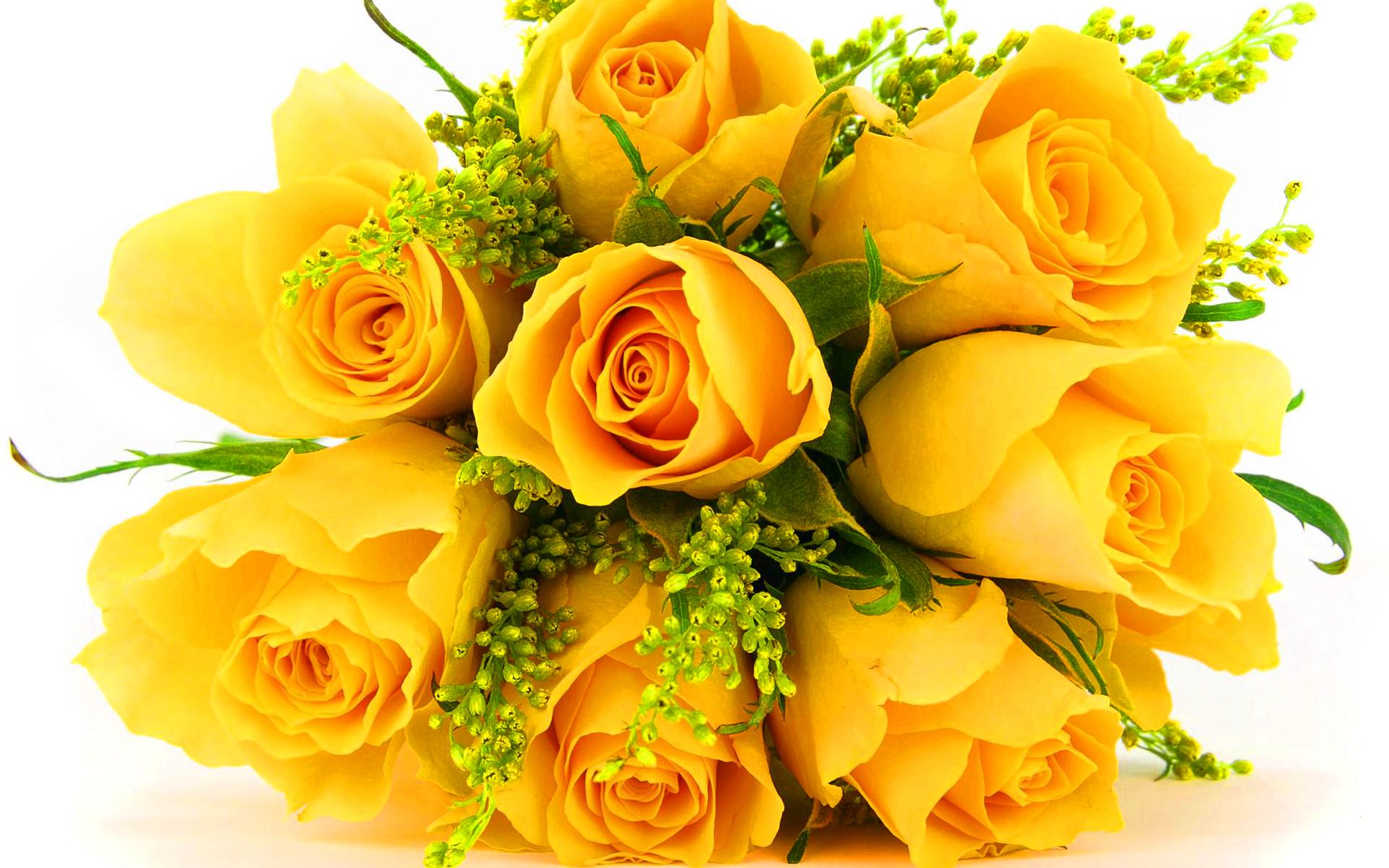 Красивый Букет Желтых Роз Фото