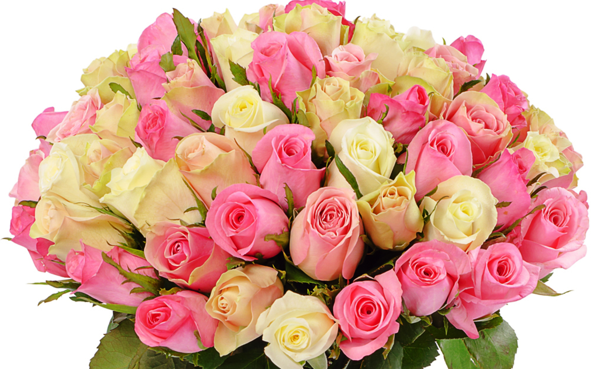 Букет роз для женщин большой и красивый. Красивый букет. Шикарный букет цветов. Букет роз. Шикарный букет роз.