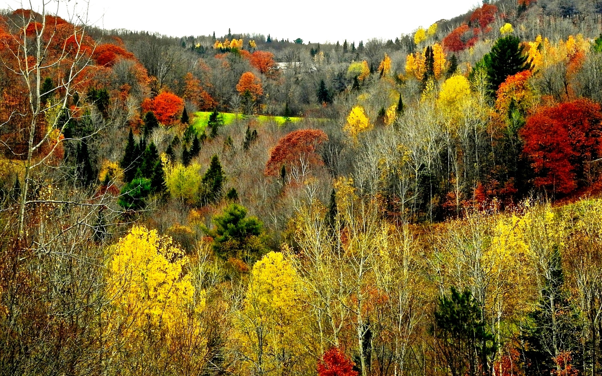 Осенние Пейзажи Фото Высокого