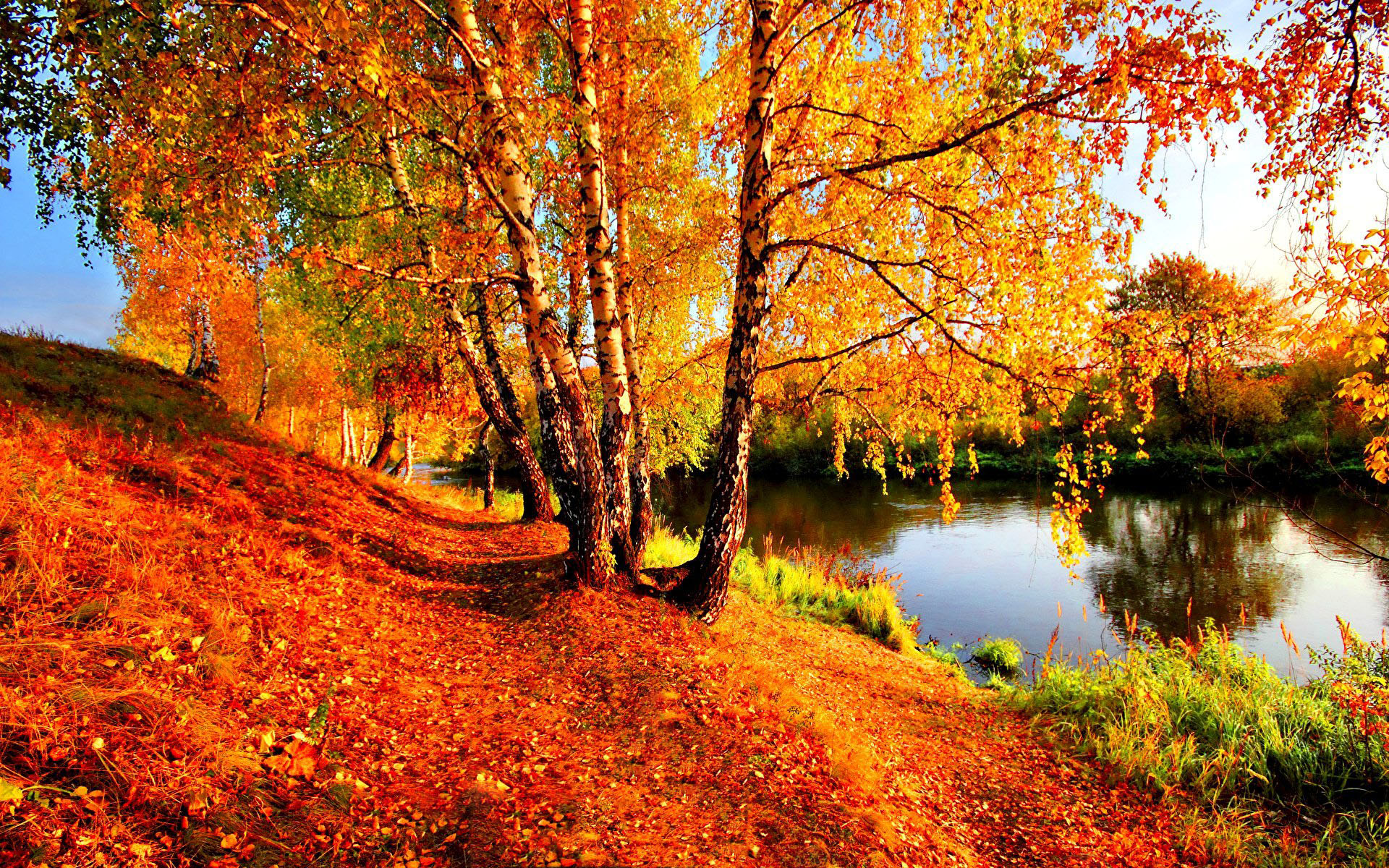 Осень На Берегу Реки Фото