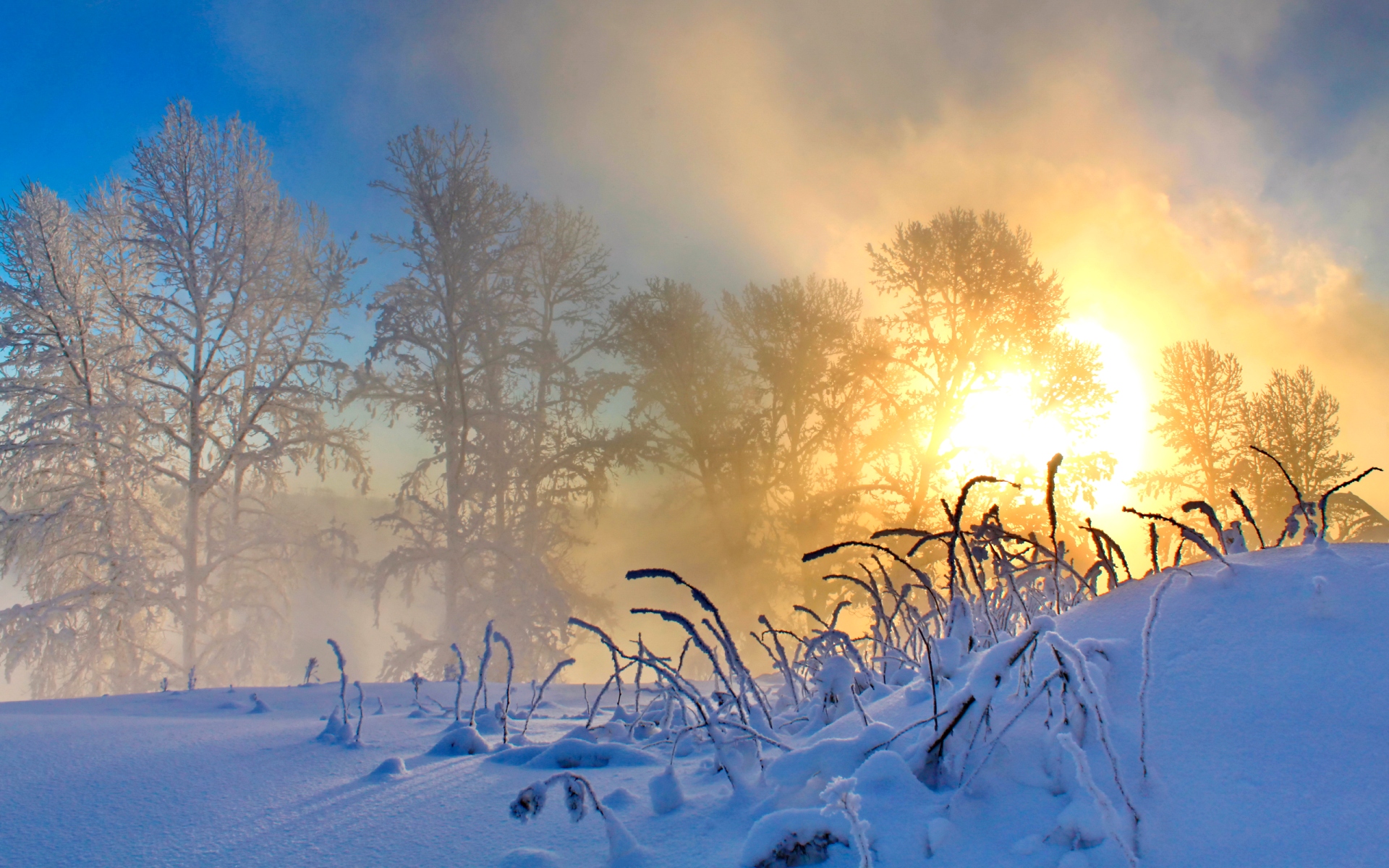 Картинка Туманное, морозное утро » Зима картинки скачать бесплатно (289  фото) - Картинки 24 » Картинки 24 - скачать картинки бесплатно