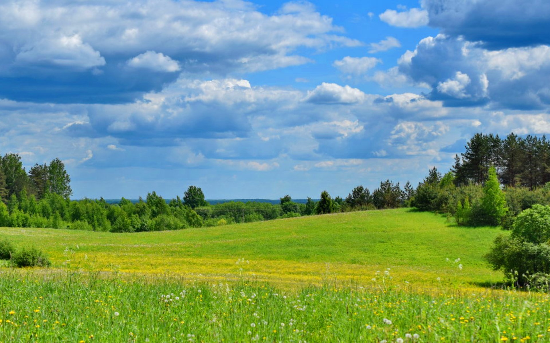 Просторы села. Деревенские просторы фото. Просторе деревня. Родные просторы природа родного села. Деревенские просторы село реткино рязань.