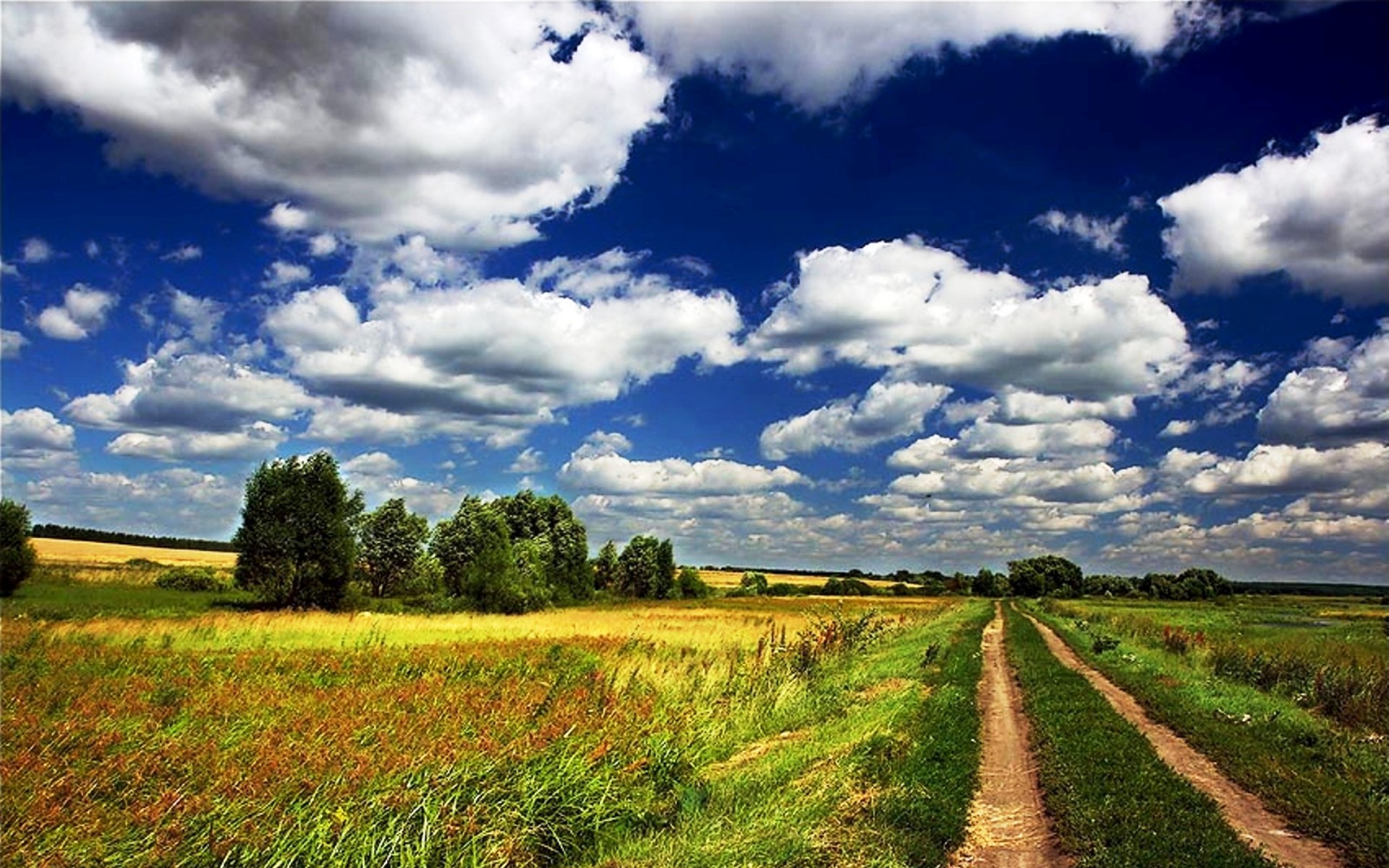 родина россия. родина. притча о любви к родине. россия березки храм. притча о родине для детей.