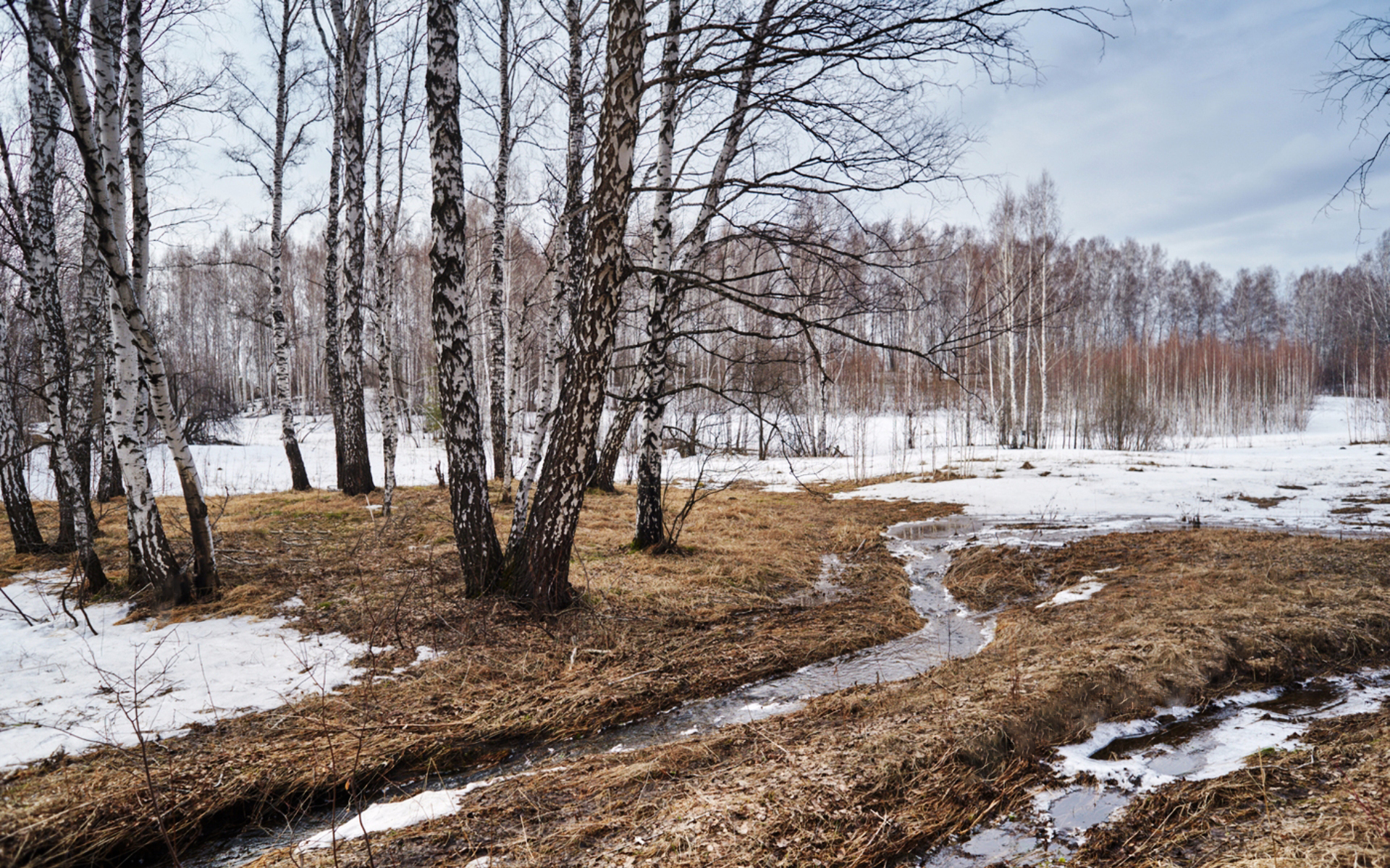 Картинка весенняя природа март. Весенние ручьи.