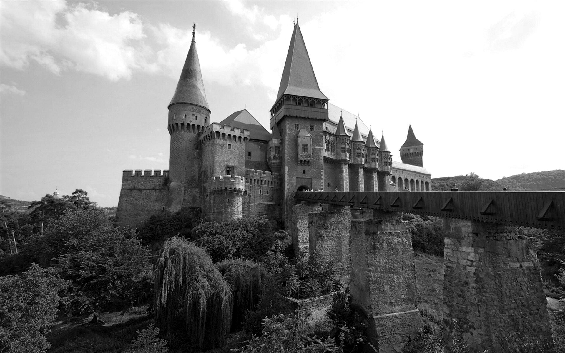 Замок Черно Белое Фото