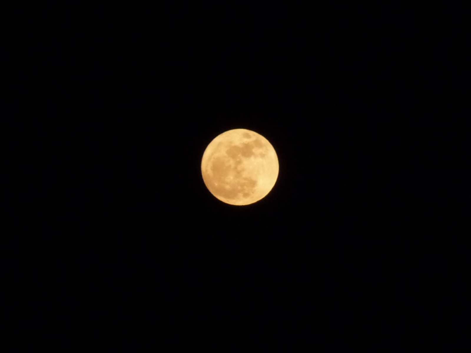 Луна полумесяц обои. Картинки Луна наполовину оранжевый. Moon Player.