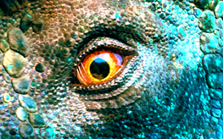3d глаз динозавра