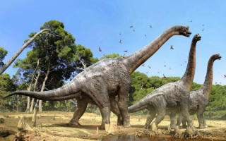 Брахиозавры 3d