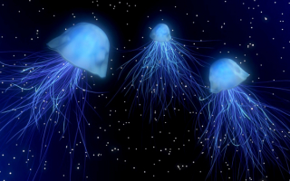 3d медузы